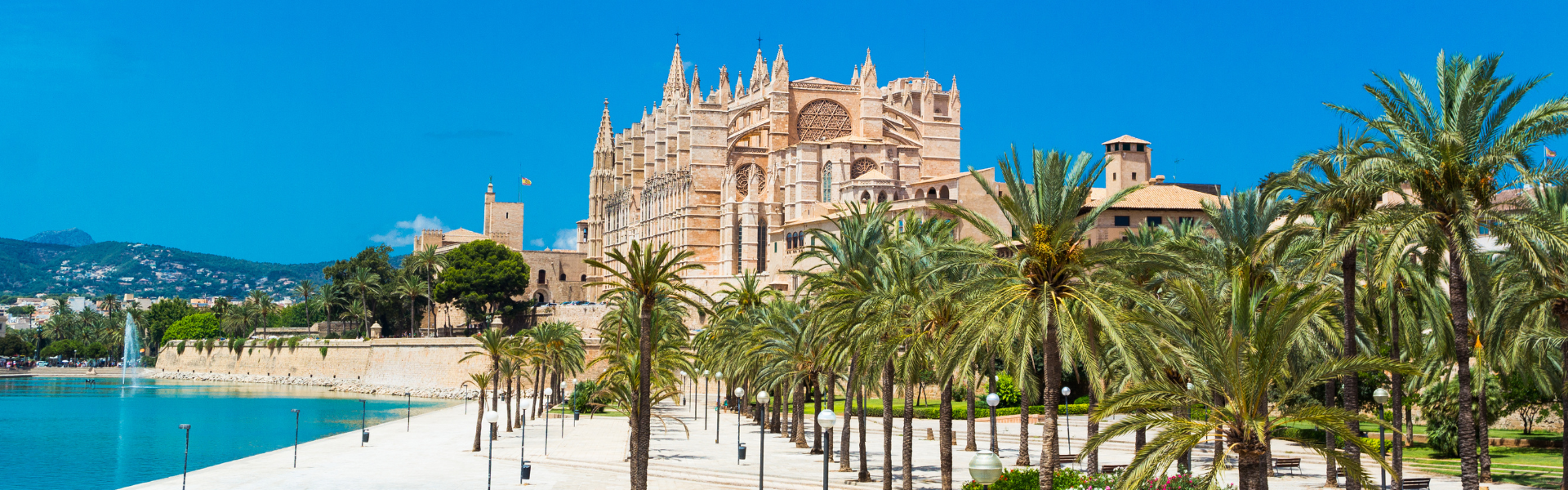 Palma de Mallorca’s Top 8 Seværdigheder – Den Ultimative Guide