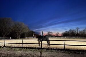 Centro ecuestre Bauneh&oslash;j