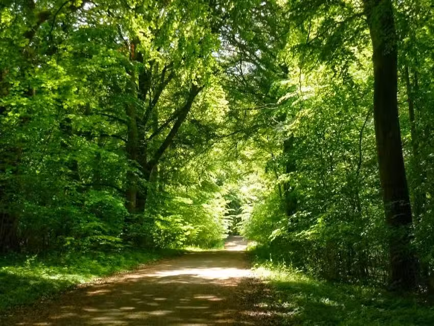 Safari &agrave; v&eacute;lo danois