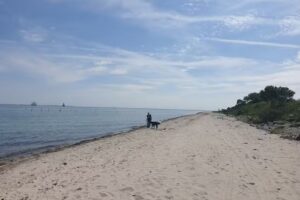 Caba&ntilde;a Emmerb&oslash;lleg&aring;rd