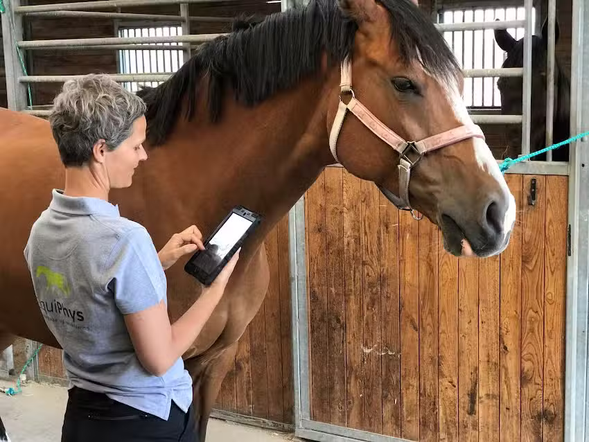 EquiPhys &ndash; Ann Troelsgaard