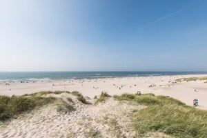 Esmark Semesterhusuthyrning (Henne Strand)