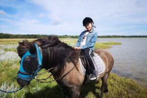 F&aelig;drelandet Paardrij- en vakantieappartement