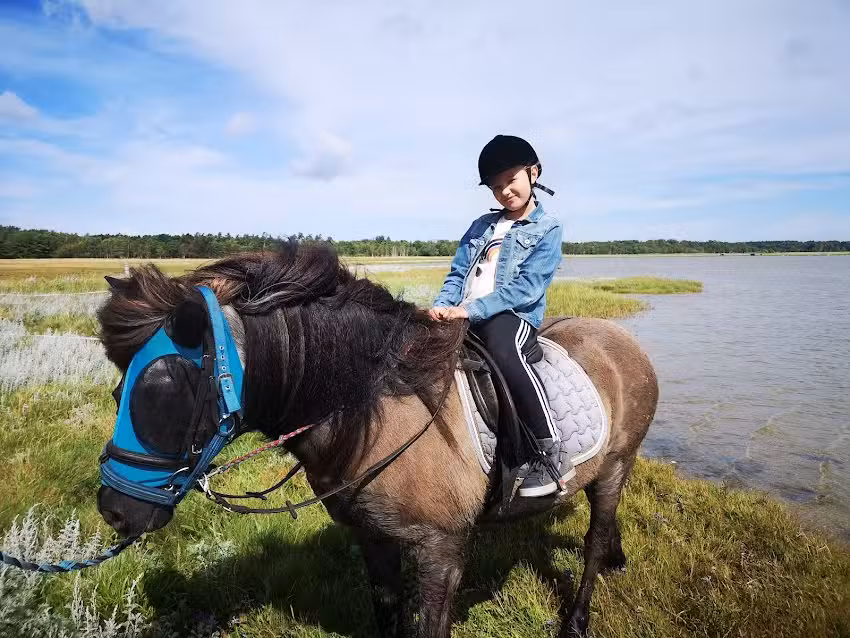 F&aelig;drelandet Paardrij- en vakantieappartement