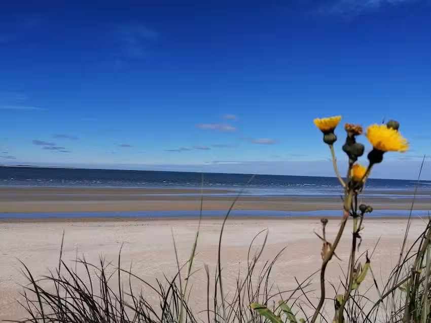 Vakantiepartner R&oslash;m&oslash;