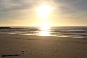 Urlaubspartner Vejlby Klit