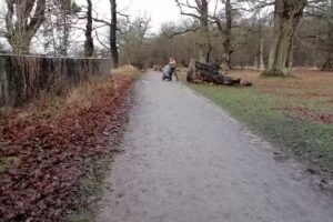 Fortunens Ponycenter