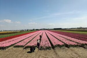 Historische Reise-App