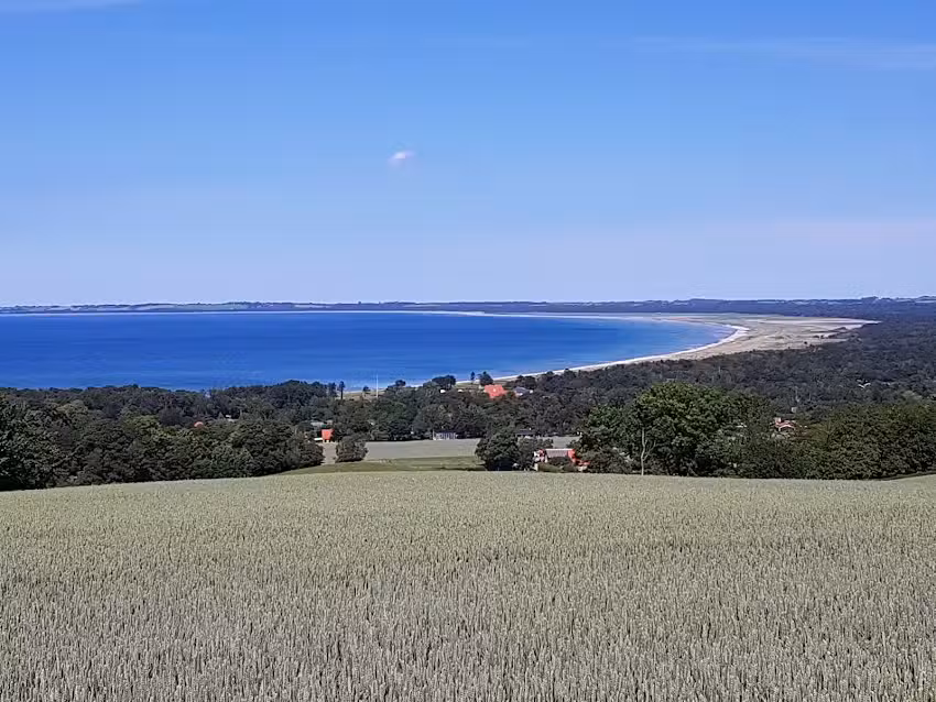 The H&oslash;yderystien. H&oslash;ve