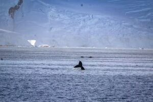 Jysk Reisebüro – Aarhus