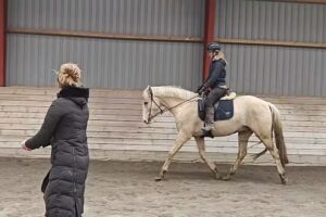 Caballos de Klarskov