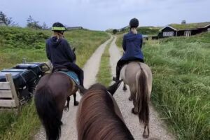 Klitrosevej 11 9493 Saltum Strand