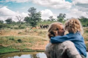 Lamai Safari Danimarca