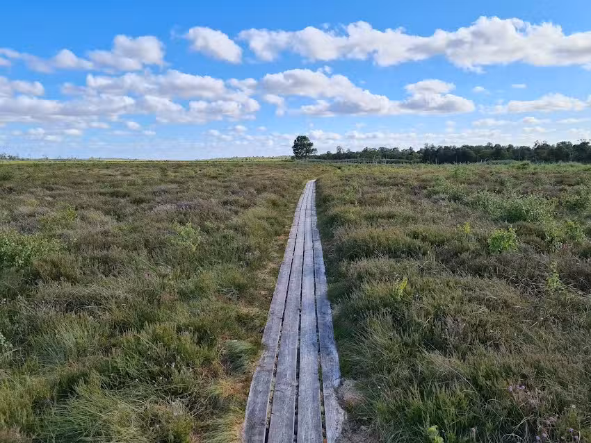 Lille Vildmosecentret
