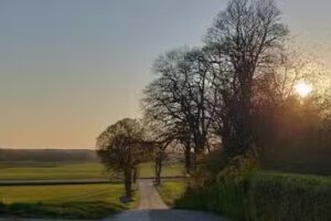 M&oslash;lleg&aring;rden