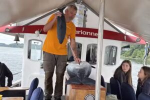 MS Marianne, Middelfart Lillebælt