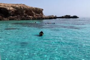 Naser Khaders Kulturrejser