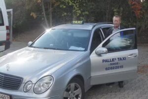 Taxis y autobuses tur&iacute;sticos de Palles