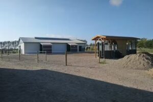 Parelli-Lehrerin Marianne Gotfredsen