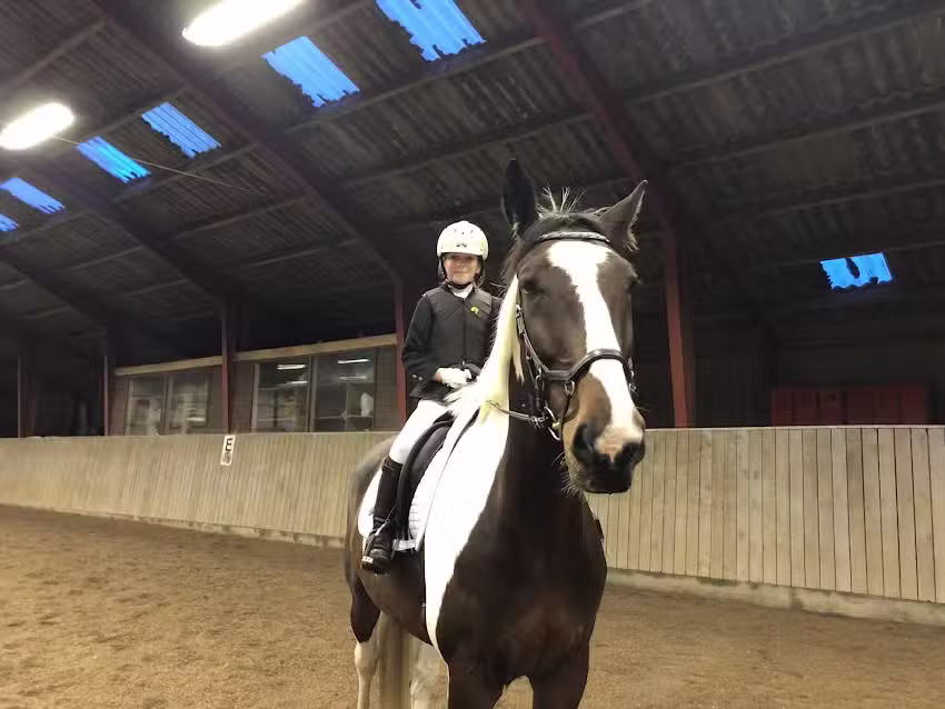 Club de equitaci&oacute;n SRV Tyrsig