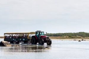 El autob&uacute;s de R&oslash;nner