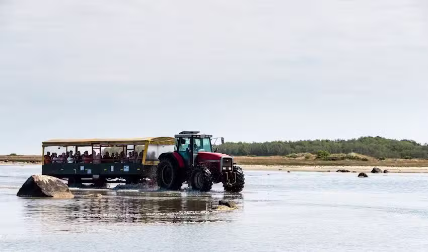Le bus R&oslash;nner