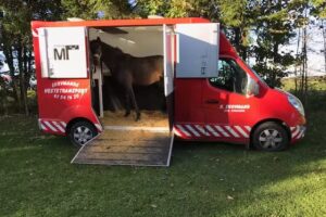 Skogsvaktarens h&auml;sttransport