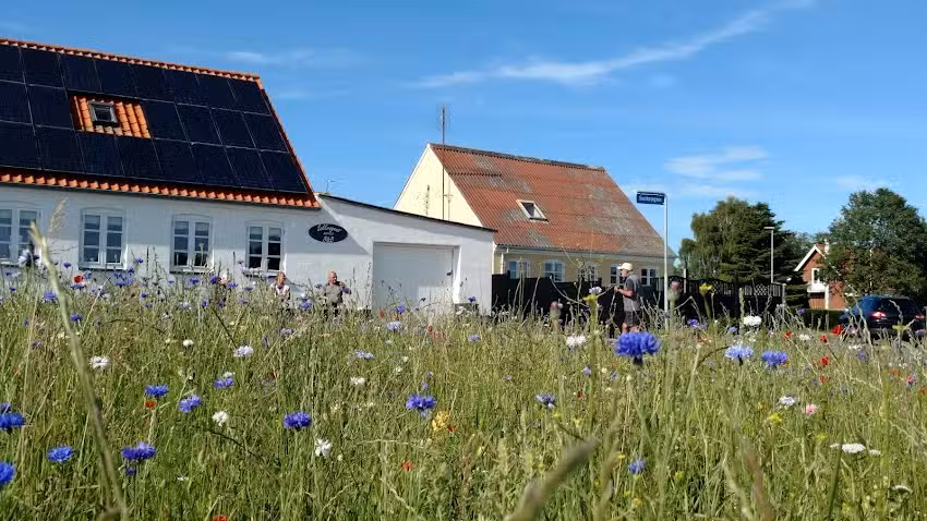 Noleggio Solkrogens &ndash; Marstal &ndash; &AElig;r&oslash;