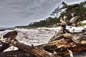 Case vacanza Dueodde