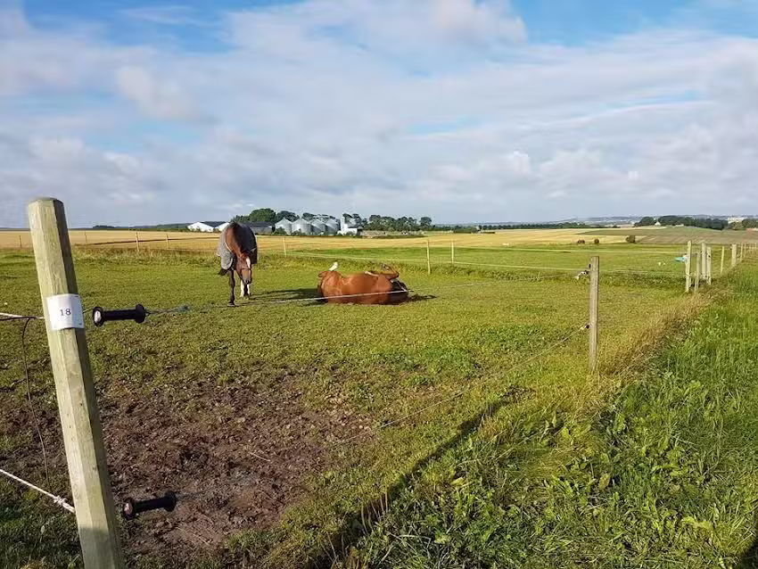 Sports Riding Club Klarup and Surrounding Area