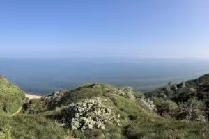 Puesto de vigilancia