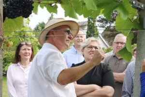 WESTERHAVE WIJNGAARD