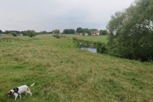 Site de lancement de cano&euml;s de Vrangstrup sur la rivi&egrave;re Sus&aring;